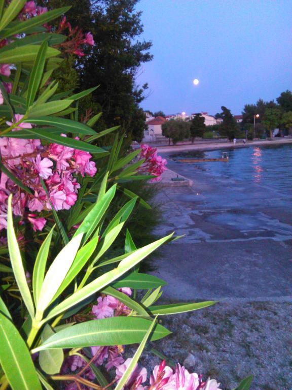 & Linda & Mario Guest house Zadar